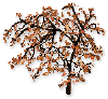 bnjminimapletrees03.gif (11250 bytes)