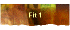 Fit 1